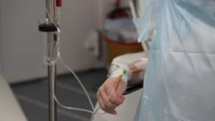 Այգուց հավաքած տապակած կանաչի. 12–ամյա երեխայի մահվան պատճառը հայտնի է