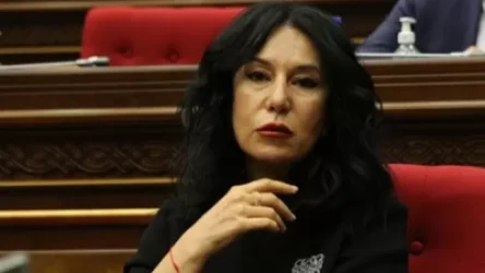 Գերիների մայրերի՝ Մերկելին ուղղված նամակը հանձնեցի գերմանական նախագահությանը. Զոհրաբյան