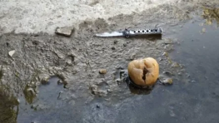 ՏԵՍԱՆՅՈՒԹ. Էրեբունիում 22-ամյա երիտասարդի են դանակահարել․ ոստիկանները հայտնաբերել են և՛ կասկածվողին, և՛ դանակը