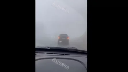 ՏԵՍԱՆՅՈՒԹ. Դիլիջանի ոլորաննեը` մառախուղի մեջ