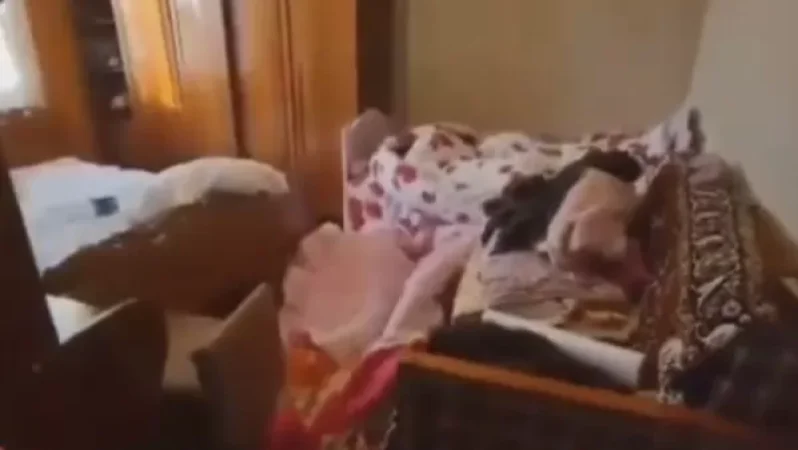 Մի նոր վարկած՝ Պեմզաշենում կատարված սահմռկեցուցիչ սպանությունից. aravot