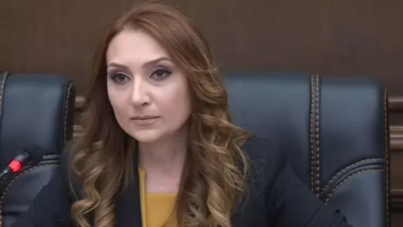 «Վարչապետն առանց թույլտվության որևէ տուն չի մտել». Լիլիթ Մակունց