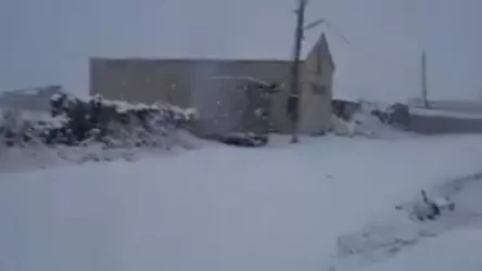 ՏԵՍԱՆՅՈՒԹ. Արդեն մինչև 5 սանտիմետր շերտով ձնածածկույթ է ձևավորվել. ՀՀ-ում ձյուն է տեղում