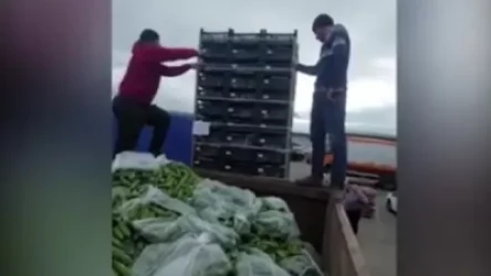 ՏԵՍԱՆՅՈՒԹ․ Ինչպես են թափում Ռուսաստան արտահանվող արդեն փչացած պտուղ-բանջարեղենը․ ահազանգ