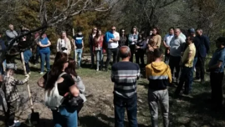 Հայաստանում համապետական ծառատունկ է. այսօր նախատեսվում է 360,000 ծառ տնկել