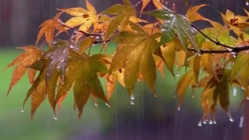 Ի՞նչ եղանակ է կանխատեսվում առաջիկա օրերին