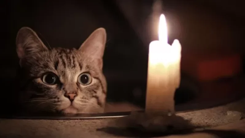 Երևանում և մարզերում էլեկտրաէներգիայի պլանային անջատումներ են սպասվում