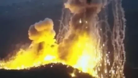 Հայաստանի անտառները ևս տուժել են ֆոսֆորային զինատեսակների կիրառումից. հայկական կողմը հստակ քայլեր է ակնկալում