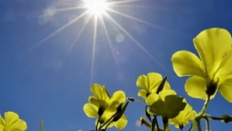 Որոշ մարզերում օդի ջերմաստիճանը կհասնի +30–ի. Ի՞նչ եղանակ է սպասվում առաջիկա օրերին