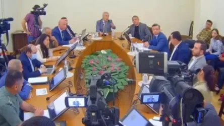 ՏԵՍԱՆՅՈՒԹ. Հիմա ես նիստը դադարեցնե՞մ. Ես ասեմ՝ ում չեմ սիրում, հոսանքազրկում եմ. Քոչարյանը՝ կին օպերատորին