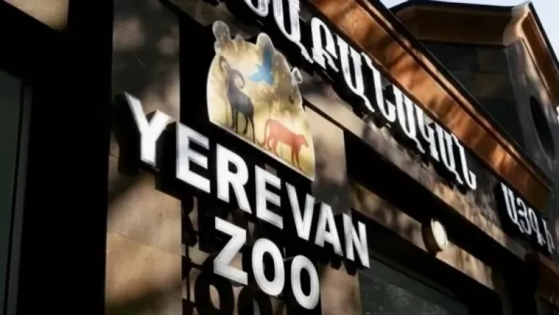 Կենդանաբանական այգում կայանալիք միջոցառումները ժամանակավոր հետաձգվում են