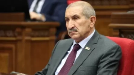 Հայաստանում ընդդիմություն չկա, դրանք բոլորը Ալիևի գործակալներ են. ՔՊ-ական պատգամավոր