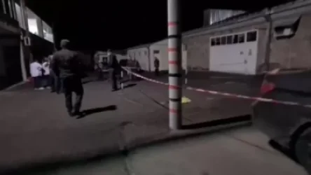 ՏԵՍԱՆՅՈՒԹ. 50-ամյա եղեգնաձորցին որսորդական հրացանով սպանել է քրոջ՝ 28-ամյա որդուն և ներկայացել բաժին