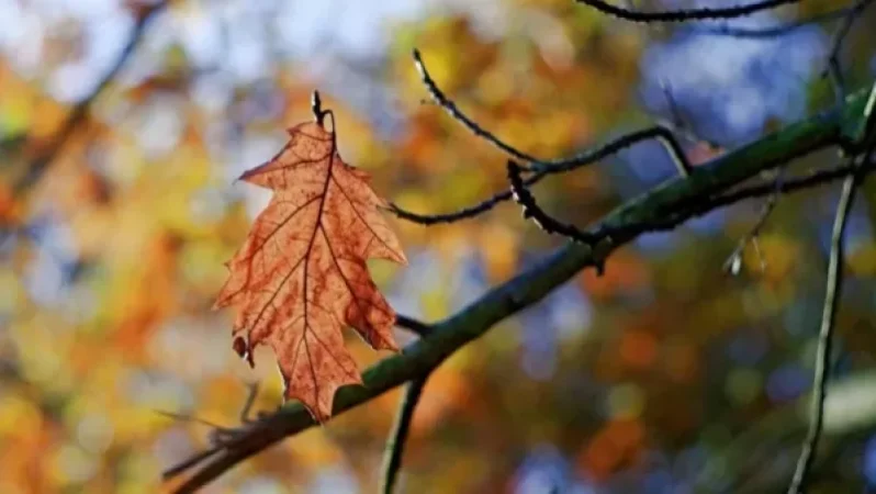 Ի՞նչ եղանակ է սպասվում առաջիկա օրերին