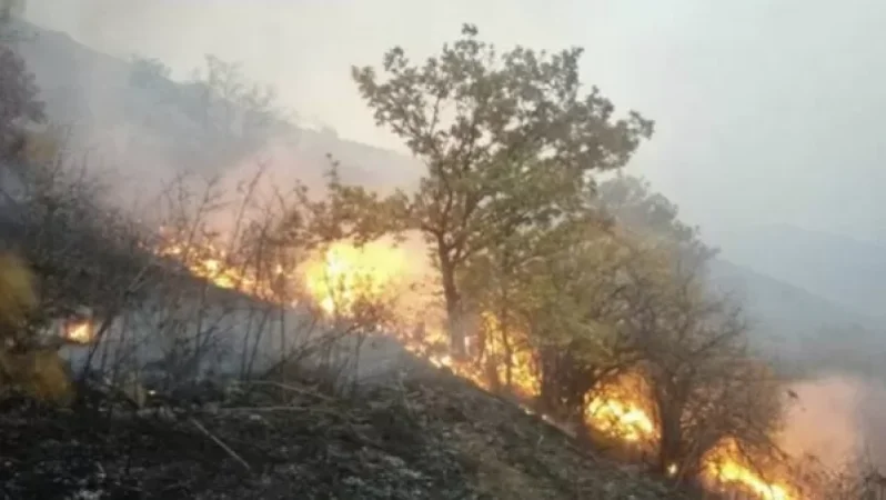 Հրդեհ է բռնկվել «Դիլիջանի ազգային պարկի» տարածքում