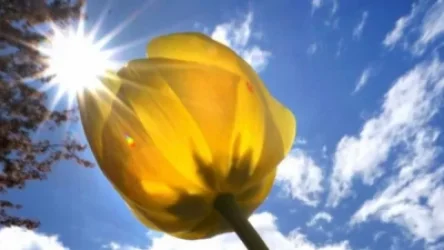 Առաջիկա 5 օրերին սպասվում է առանց տեղումների եղանակ