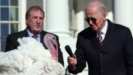 «Chocolate և Chip անուններով հնդկահավեր, ես ներում եմ ձեզ»․ Բայդենը՝ Գոհաբանության տոնին ընդառաջ