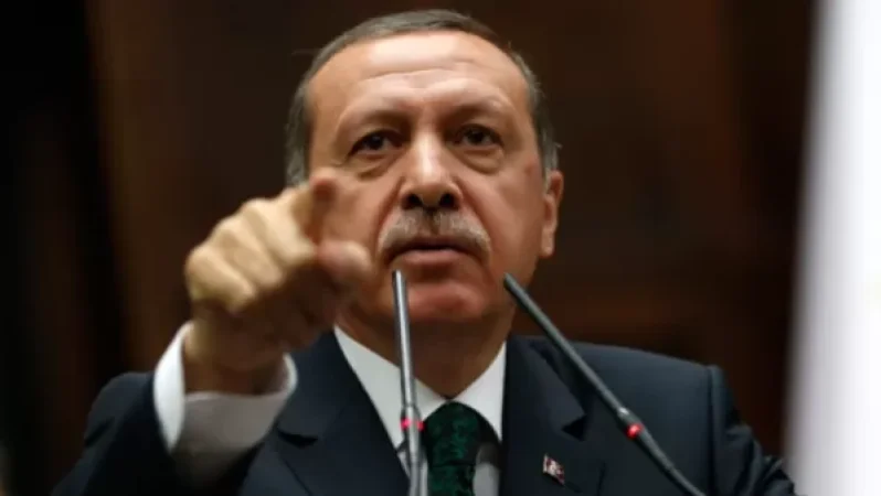 «Սա դեռ սկիզբն է». Էրդողանը՝ Սիրիայի հյուսիսում և Իրաքում գործողությունների մասին