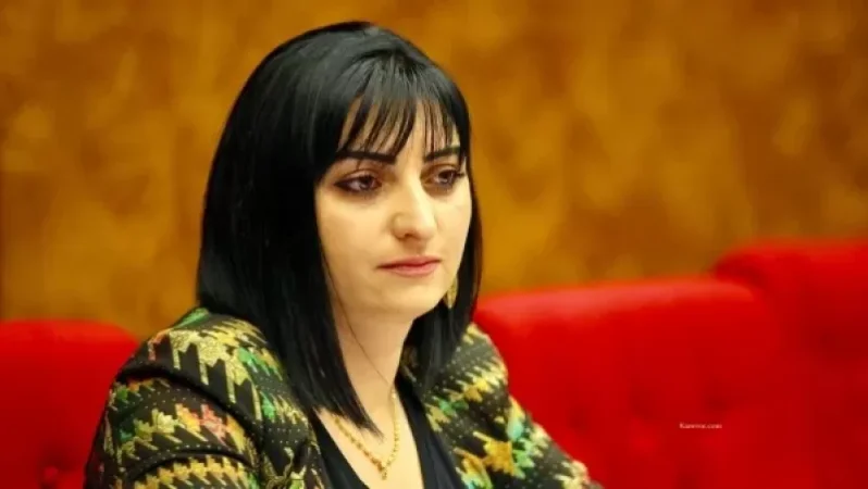 Վարդենիս համայնքի հարակից բնակավայրերի սահմանը այսօր հատել են ազերիները. Թագուհի Թովմասյան