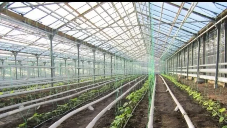 Գյուղոլորտի համար գազի սակագնի նվազեցման հարցը քննարկման փուլում է․ մանրամասներ