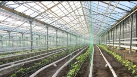 Գյուղոլորտի համար գազի սակագնի նվազեցման հարցը քննարկման փուլում է․ մանրամասներ