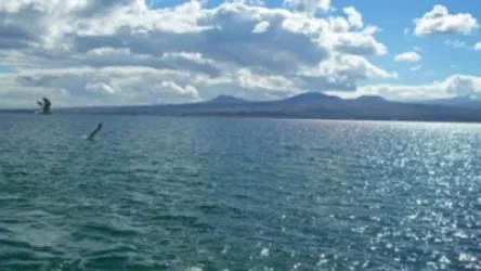 Ջրափրկարարները քաղաքացուն դուրս են բերել ափ