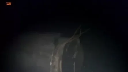 ՏԵՍԱՆՅՈՒԹ․ Ցուցադրվել է «Հյուսիսային հոսք 2» գազատարի վնասված հատվածի ստորջրյա կադրերը