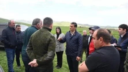 Ադրբեջանցի զինվորականները հայ հովիվներին զենքի ցուցադրումով պահանջել են լքել տարածքը. ՀՀ ՄԻՊ