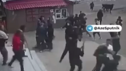 ՏԵՍԱՆՅՈՒԹ. Ադրբեջանցիների և վրացիների միջև ծեծկռտուք է տեղի ունեցել