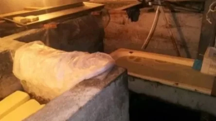 ՍԱՏՄ-ն կաթնամթերք արտադրող արտադրամասերի գործունեություն է կասեցրել