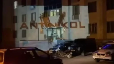 ՏԵՍԱՆՅՈՒԹ. Ոստիկանության շենքը «լուսավորվել» է «Antinikol V» գրությամբ