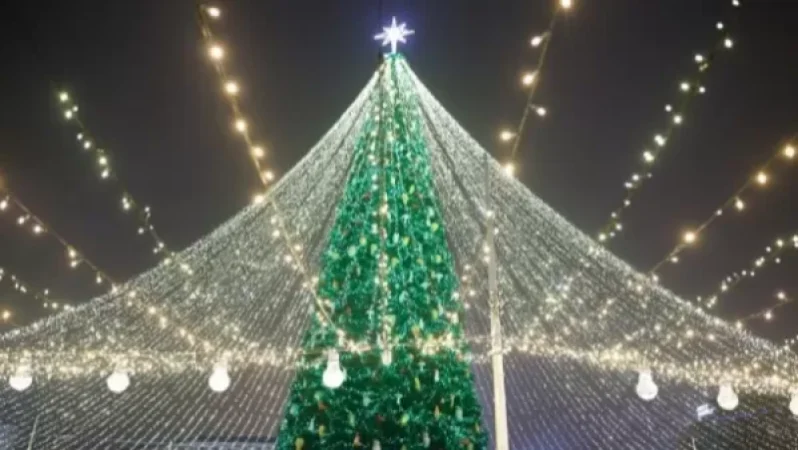 Կիևի գլխավոր տոնածառը կլինի առանց լույսերի