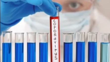 Կորոնավիրուսի հաստատաված դեպերի թիվն է հայտնի