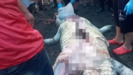 ԼՈՒՍԱՆԿԱՐՆԵՐ․ Կոստա Ռիկայում կոկորդիլոսը հոշոտել է ութամյա երեխային ծնողների աչքի առաջ