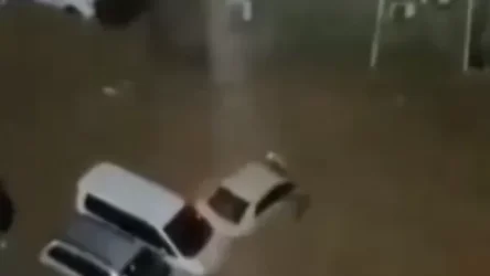 ՏԵՍԱՆՅՈՒԹ․ Ավտոմեքենաները լողում են ջրում․ Եմենում ջրհեղեղ է