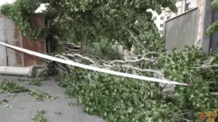 ՏԵՍԱՆՅՈՒԹ. Քամու վնասները քիչ էին՝ հիմա էլ անձրևը. ԱԻՆ-ը ներկայացնում է իրավիճակը Երևանում