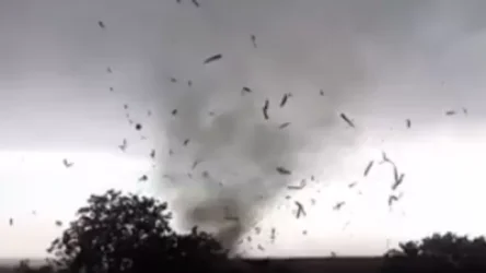 ՏԵՍԱՆՅՈՒԹ. Պտտահողմ` Էջմիածին-Զվարթնոց տարածքում. Սուրենյանը տեսանյութ է հրապարակել