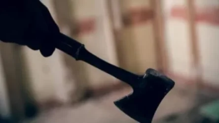 76-ամյա տղամարդը կացնով կտրել է քնած որդու մատները