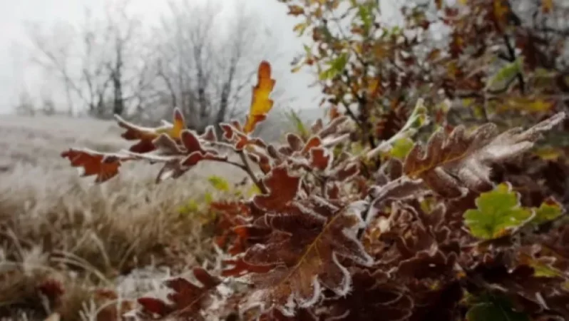 Օդի ջերմաստիճանը կնվազի 3-5 աստիճանով