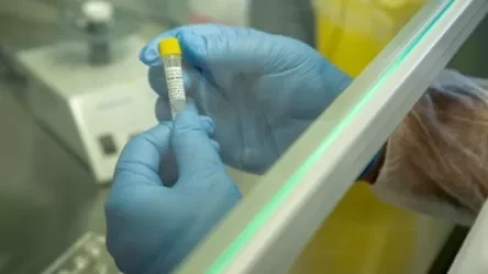 Թարմացված տվյալներ. կորոնավիրուսի զարգացման ընթացքը Հայաստանում