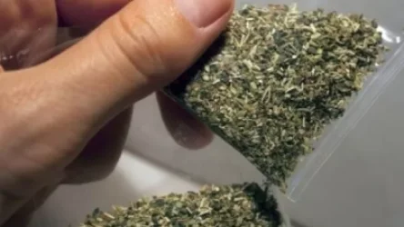 ՏԵՍԱՆՅՈՒԹ. Վաղարշապատի ոստիկաններն ապօրինի թմրաշրջանառության դեպք են բացահայտել