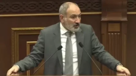 ՏԵՍԱՆՅՈՒԹ. Նույնն է, որ փորձենք դինոզավրերի ֆերմա ստեղծել. Փաշինյանի խոսքը ներկաների մոտ ծիծաղ առաջացրեց