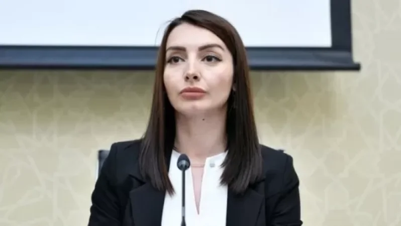 Ֆրանսիայում Ադրբեջանի դեսպանը մեկնաբանել է Արայիկ Հարությունյանի` France24-ին տված հարցազրույցը