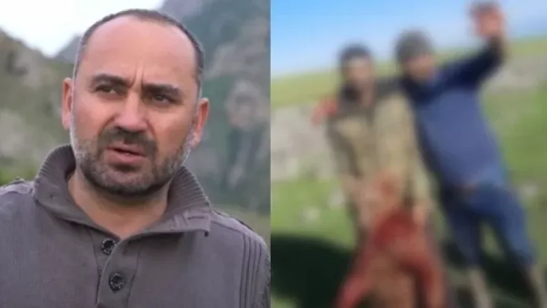 Նման դեպքերը պետք է ուսումնասիրվեն, արջի քոթոթը հարձակվել է, թե պաշտպանվել