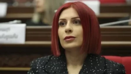 Նվազագույն աշխատավարձից` առանձնատների, մեքենաների ու միլիոնների տեր. Խամոյանը` իշխանության ներկայացուցիչների մասին