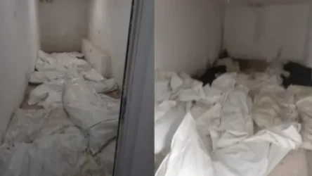 Զինծառայողների դիերն ու մասունքները պարկերով նկուղներում թողնելու դեպքի առթիվ հարուցվել է քրգործ. Գոռ Աբրահամյան