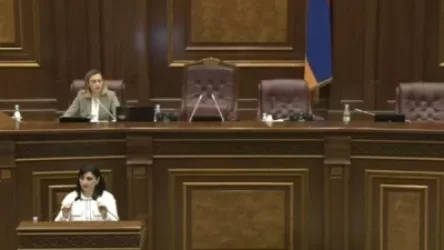 ՏԵՍԱՆՅՈՒԹ․ «Իդիոտկա». Լենա Նազարյանի արձագանքը՝ Թագուհի Թովմասյանի ելույթին