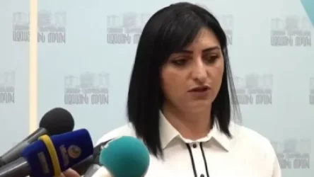 ՏԵՍԱՆՅՈՒԹ․ Եթե Լենա Նազարյանը ներողություն չխնդրի չեմ նախանձելու նրան․ Թովմասյան