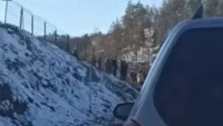 ՏԵՍԱՆՅՈՒԹ. Իրավիճակը` Լաչինի միջանցքում. ԱՀ նակին պաշտոնայն հայտնում է, թե ինչ են ասում ռուսական կողմից