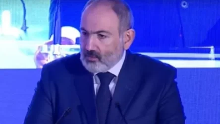 ՏԵՍԱՆՅՈՒԹ. «Դու թուրք ես» ասելով ինձ ամենևին չեն վիրավորում. Փաշինյան